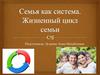 Семья как система. Жизненный цикл семьи