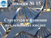 Структура и функции нуклеиновых кислот. Лекция №15