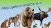Мир диких животных