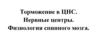 Торможение в ЦНС. Нервные центры. Физиология спинного мозга