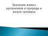 Значение живых организмов в природе и жизни человека. Лишайники