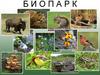 Заходите в биопарк