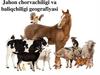 Jahon chorvachiligi va baliqchiligi geografiyasi