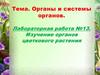 Органы и системы органов. Лабораторная работа №13