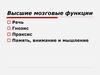 Высшие мозговые функции