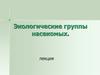 Экологические группы насекомых