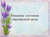 Описание состояния окружающей среды