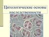 Цитологические основы наследственности