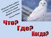 Что? Где? Когда? Отборочные вопросы