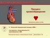 Анатомия и физиология человека. Процесс кровообращения