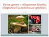 Царство Грибы. Строение шляпочных грибов