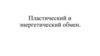 Пластический и энергетический обмен  (9 класс)