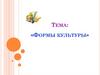 Формы культуры