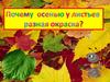 Почему осенью у листьев разная окраска