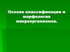 Основа классификации и морфология микроорганизмов