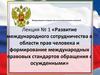 Развитие международного сотрудничества в области прав человека и формирование международных правовых стандартов обращения