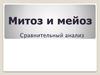 Митоз и мейоз. Сравнительный анализ