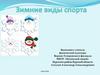 Зимние виды спорта