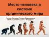 Систематическое положение человека. Антропогенез