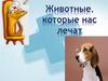 Животные, которые нас лечат