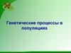 Генетические процессы в популяциях  (11 класс)
