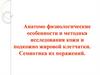 Анатомо-физиологические особенности и методика исследования кожи и подкожно жировой клетчатки. Семиотика их поражений