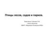 Птицы лесов, садов и парков