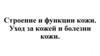 Строение и функции кожи. Уход за кожей и болезни кожи