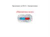 Магнитное поле. Электромагнетизм. Свойства силовых линий