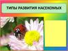 Типы развития насекомых