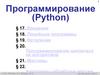 Основы программирования (Python)
