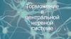 Торможение в центральной нервной системе