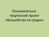 Познавательно-творческий проект «Волшебство на грядке»