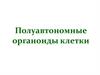 Полуавтономные органоиды клетки