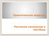 Растения сенокосов и пастбищ. Практическое задание