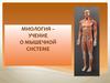 Миология – учение о мышечной системе