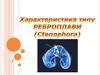 Характеристика типу Реброправи (Ctenophora)