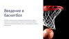 Введение в баскетбол