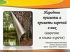 Народные приметы и приметы наречий в них (наречие в языке и речи)