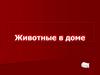 Животные в доме