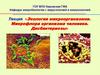 Экология микроорганизмов. Микрофлора организма человека. Дисбактериозы