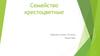 Семейство крестоцветные