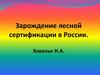 Зарождение лесной сертификации в России