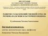 Развитие сельскохозяйственной отрасли региона на основе кластерного подхода