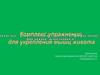 Комплекс упражнений для укрепления мышц живота