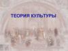 Теория культуры
