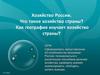 Хозяйство России. Что такое хозяйство страны? Как география изучает хозяйство страны?