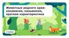 Животные родного края: узнавание, называние, краткая характеристика. 3 класс