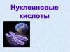 Нуклеиновые кислоты
