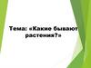 Какие бывают растения?